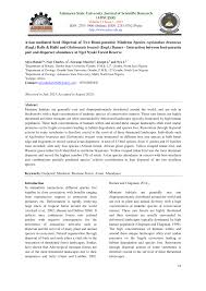 Image result for Agelanthus sp. aff. A. brunneus