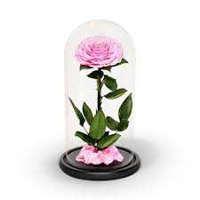 Check spelling or type a new query. Preserved Roses Infinity Rose