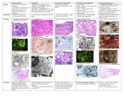 Staining lost in aa amyloidosis if. Pathophys Renal Systemic Vascular Hereditary