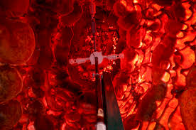 The official website of the band red. What S The Story Behind Denver S Red Heaped Jelly Bean Sculpture Colorado Public Radio