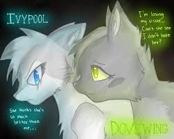 It gives him a very high probability of evading critical hits, finding rare items from defeated bosses. Sisterly Hatred Dove And Ivy By Pretty Cat On Deviantart Warrior Cats Books Warrior Cats Warrior Cats Quotes
