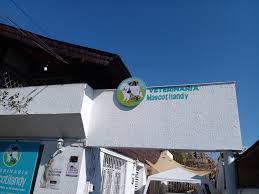 Veterinaria Mascotilandy