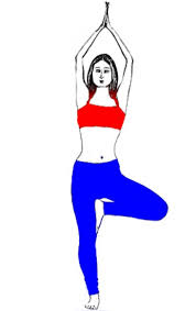 Vrikshasana Tree Pose Steps And Benefits Sarvyoga Yoga