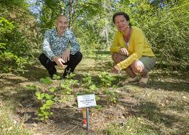 Auf einer fläche von rund 80.000 quadratmetern. Erdbeertag Im Botanischen Garten Der Universitat Rostock Universitat Rostock