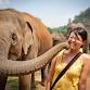 National Elephant Day 2026 in Thailand event image