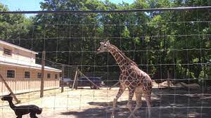 Puzzles Running Running Indian Creek Morning Running
