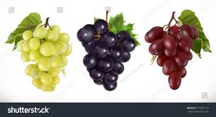 Red And White Table Grapes Wine Grapes Fresh Fruit 3d Vector Icon Set Ad Ad Grapes Wine Tabl In 2020 Anti Oxidant Foods Grapes Benefits High Antioxidant Foods