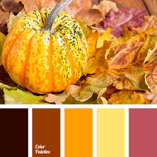 Check spelling or type a new query. Halloween Colors Color Palette Ideas
