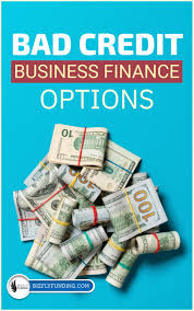 Finding A Small Business Loan With Bad Credit In 2020 Small Business Loans Business Loans