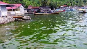 We did not find results for: Mimpi Air Laut Dengan