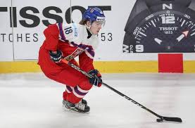We hear from filip zadina after he nets his first goal of the season and adds a pair of assists for the red wings on thursday night. Detroit Red Wings Evaluating The Filip Zadina Hype Train å›½é™… è›‹è›‹èµž