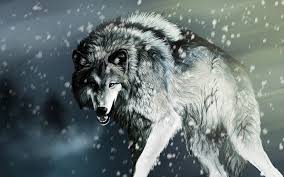 You can also upload and share your favorite wolf wallpapers 1920x1080. Black Wolf 1080p 2k 4k 5k Hd Wallpapers Free Download Wallpaper Flare