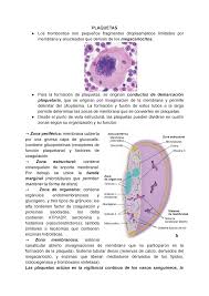 Microscópicos, parecidos a puercoespines o pequeñas elipses, y sólo visibles bajo un microscopio, el tamaño promedio es de alrededor de cuatrocientas milésimas de pulgada (1 a 3,5 um). Plaquetas Resumen Histologia Studocu