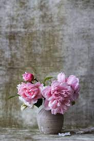 1001 Idees Pour Trouver La Plus Belle Image Fete Des Meres Image Fete Des Meres Belles Photos De Fleurs Images De Decoration