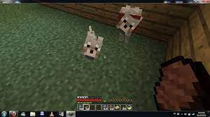 With The New Minecraft Update I Can Breed Animals My Wolves Made A Little Wolf Pup Soooo Cuuuuutttteeee 3 The New Minecraft Wolf Pup Minecraft Wolf