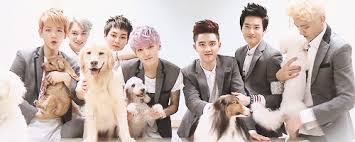 Exo.pet's extreme video game high score challenge and discord server. Exo As Dogs Exo ì—'ì†Œ Amino