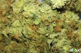 Wedding cake is a cannabis strain that i've been hearing about for a while. Cake Mix Strain Marijuana Strain Reviews Allbud