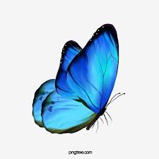 Butterfly Butterfly Clipart Blue Fly Png Transparent Clipart Image And Psd File For Free Download In 2020 Butterfly Clip Art Butterfly Background Butterfly Watercolor
