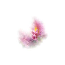 Faded Liked On Polyvore Featuring Flowers Fade Fillers Floral Tubes Backgrounds And Floral Home Decor Floral Faded Flowers