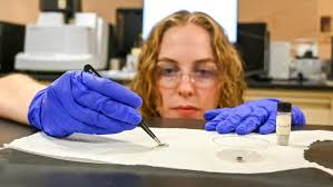 Undergraduate students get direct research experience at the U