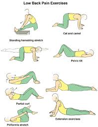 In sanskrit, it is known as ustrasana and resembles a camel, which helps in opening your shoulders and boosting overall energy and mood. Pin On Exercises