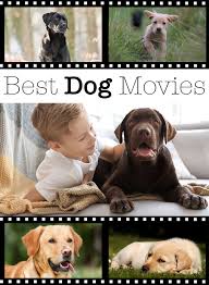 Pin On Dog Movie