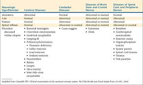 Image result for Neurologic Lesion Localization