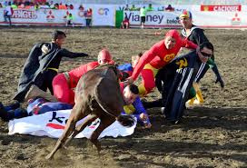 Costa ricans (ticos) are generally gentle, spirited, friendly, educated, polite, and kind people. Bullfighting A La Tica The Controversial End Of Year Tradition In Costa Rica