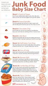 12 Inspirational Uterus Size Chart Image Percorsi Emotivi Com