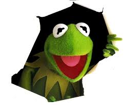 We hope you enjoy our growing collection of hd images to use as a background or home screen for your smartphone please contact us if you want to publish a kermit the frog wallpaper on our site. 41 Kermit The Frog Wallpaper On Wallpapersafari