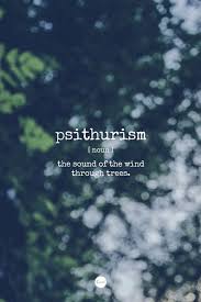 The above quote holds true in so many ways. 35 Words For Beautiful Souls Ideas Words Unusual Words Rare Words