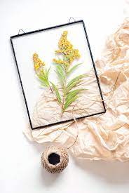 Stained Glass Panel With Pressed Flowers Solidago Botanical Home Decor Herbarium Yellow Flower Wall Art Pressed Flowers Flower Decorations Handmade Home Decor