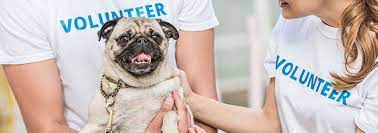 Can you leave your dog at the utah humane society? Where To Adopt Your Next Pet In Utah
