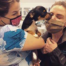 Bts my pet clinic (2 часть). Family Pet Clinic 2 Max Loved Giving The Staff Tons Of Kisses At His Recent Appointment Behindthescenes Vetmedicine Familypetclinic Puppykisses Bts Facebook