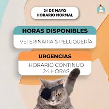 JACKSPERROW - Urgencias 24hrs. - Veterinaria - Peluqueria Canina y Gatos