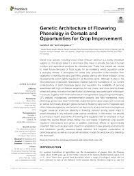 PDF) Genetic Architecture of Flowering Phenology in Cereals and  Opportunities for Crop Improvement