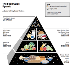 Beyond The Food Pyramid How Pyramid Charts Build The