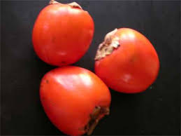 images?q=tbn:ANd9GcQDx7CdOvuTNEH51Yu5M6E