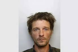 Longleat Safari Park is now home to 52 of the largest and rarest spiders in  the world