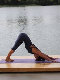 Downward Dog Yoga Challenge Yoga Yoga Life