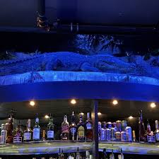 TOP 10 BEST Adult Gay Movie Theater in Seattle, WA - Updated 2025 - Yelp