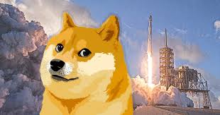 He told us about the team's reaction to the project's rapid popularity growth, plans for the. Dogecoin Jumps 88 In A Single Day To 0 13 Reviving Ponzi Fears