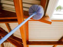 On the trees on plants around the pond. How To Clean Cobwebs Realestate Com Au