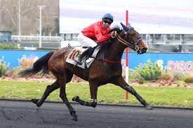 Cheval blanc jouit d'un territoire unique. Vincennes Prix Hemine Nouvelle Etape Vers Le Saint Leger Pour Ici C Est Paris