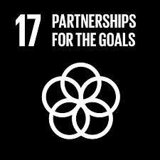 The process culminated in the subsequent adoption of the 2030 agenda for sustainable development, with 17 sdgs at its core, at the un sustainable development summit in september 2015. Sdgs Me Partnership For Goals Products Eurostat News Eurostat