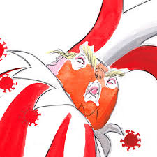 Opinion | The president is a fool, not a warrior - The Washington Post