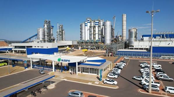 Blog Suzano: Tendências em Sustentabilidade e Inovação
