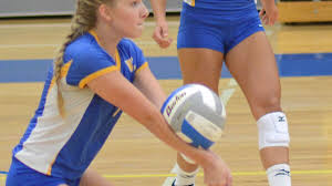 Wolverines place fifth in 16-team Sauk Rapids Invite