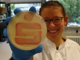 Wissenschaft in der Praxis