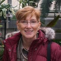 Mary Susan Whitt Obituary (2024)